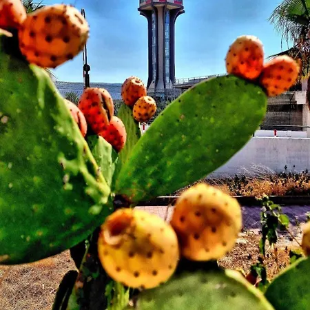 Kalanto Castellammare del Golfo